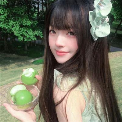 野菊之墓